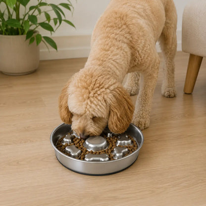 FressBremse – The non-slip anti-choking bowl for dogs made of stainless steel