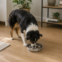 FressBremse – The non-slip anti-choking bowl for dogs made of stainless steel