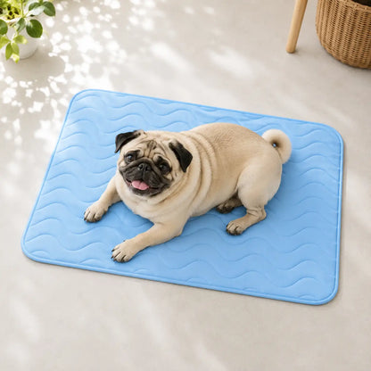 Tapis rafraîchissant pour chien lavable | Refroidissement immédiat & antidérapant