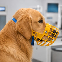 Muzzle for Dog | breathable, safe & comfortable for walks