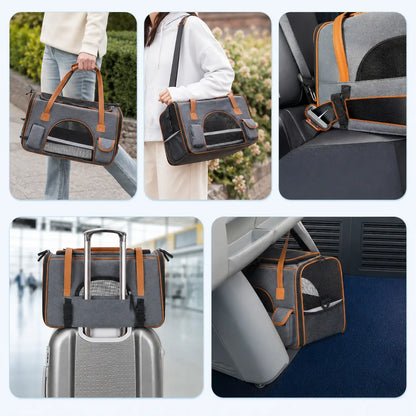 Dog carrier | Foldable travel bag with ventilation & comfort bed