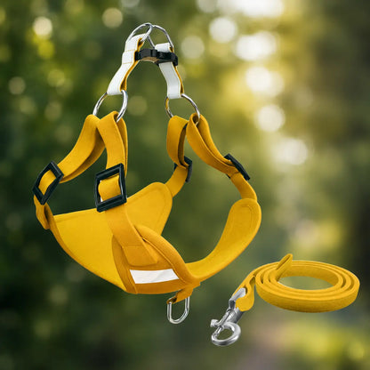 Dog harness with leash | adjustable, lightweight & safe
