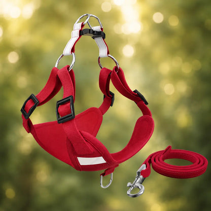 Dog harness with leash | adjustable, lightweight & safe