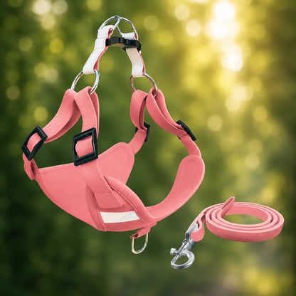 Dog harness with leash | adjustable, lightweight & safe