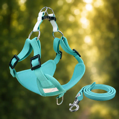 Dog harness with leash | adjustable, lightweight & safe