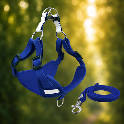 Dog harness with leash | adjustable, lightweight & safe