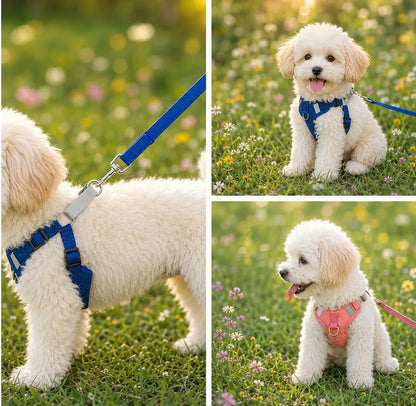 Dog harness with leash | adjustable, lightweight & safe