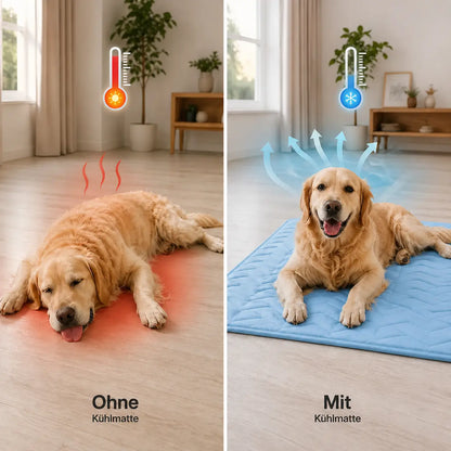 Tapis rafraîchissant pour chien lavable | Refroidissement immédiat & antidérapant