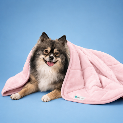Cooling Dog Blanket | Washable, Breathable & Summer Comfort