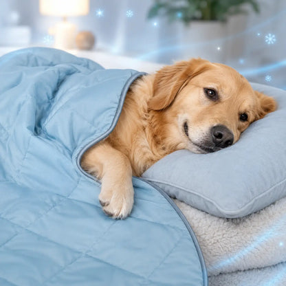 Cooling Dog Blanket | Washable, Breathable & Summer Comfort