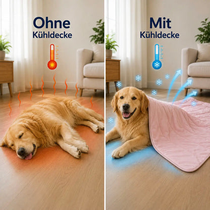 Cooling Dog Blanket | Washable, Breathable & Summer Comfort
