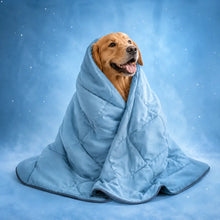 Cooling Dog Blanket | Washable, Breathable & Summer Comfort