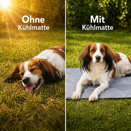 Dog cooling mat | Self-cooling, waterproof & easy to care for