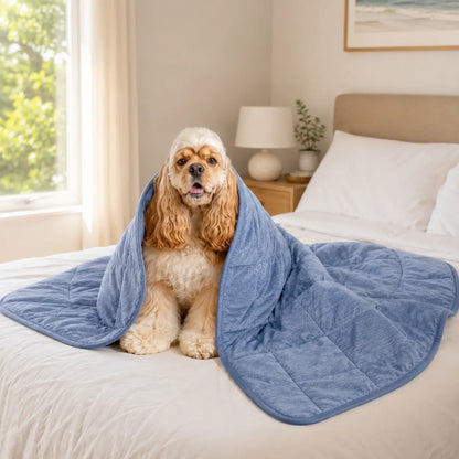 Cooling Dog Blanket | Washable, Breathable & Lightweight