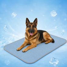 Ice-Silk Kühlmatte für Hunde | Waschbar & Faltbar