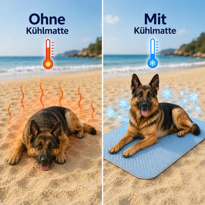 Cooling Dog Blanket | Washable, Breathable & Lightweight