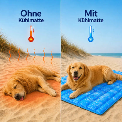 Kühlmatte für Hunde | Selbstkühlend, Faltbar & Wasserdicht