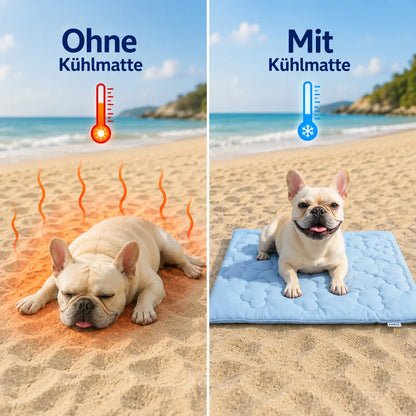 Tapis rafraîchissant pour chiens | Réversible, lavable et respirant