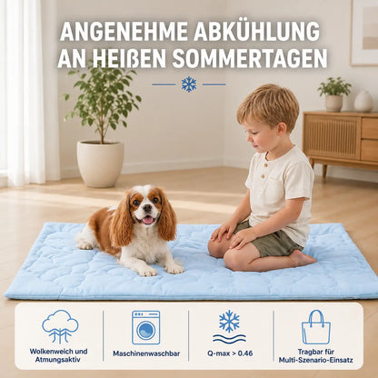 Tapis rafraîchissant pour chiens | Réversible, lavable et respirant