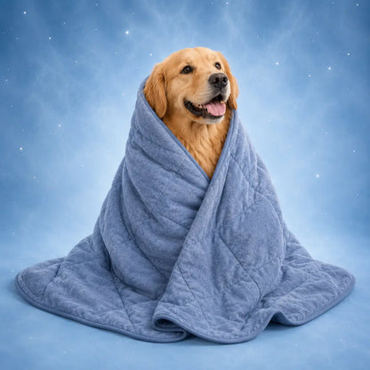 Cooling Dog Blanket | Washable, Breathable & Lightweight