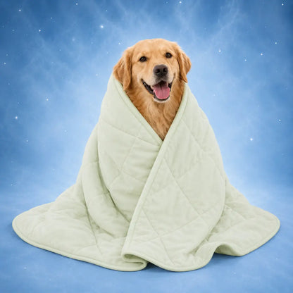 Cooling Dog Blanket | Washable, Breathable & Lightweight