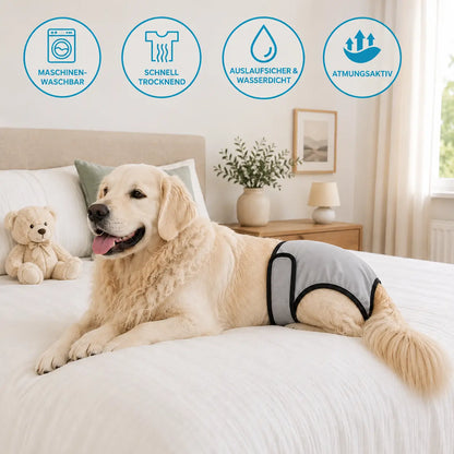 Washable dog diapers | Leak-proof & Breathable