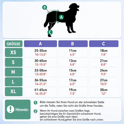 Washable dog diapers | Leak-proof & Breathable