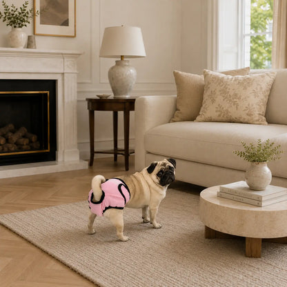 Washable dog diapers | Leak-proof & Breathable