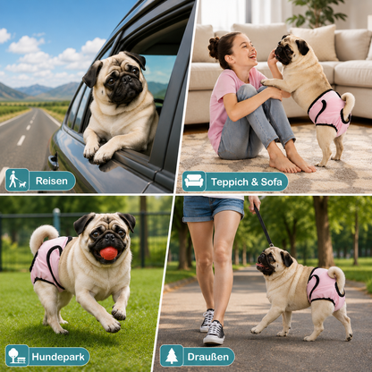 Washable dog diapers | Leak-proof & Breathable