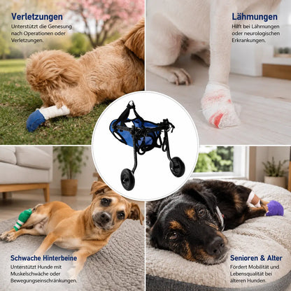 Lightweight Adjustable Dog Care Wheelchair | Stable & Comfortable