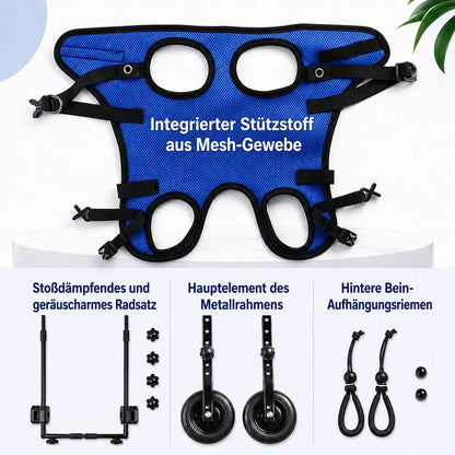 Lightweight Adjustable Dog Care Wheelchair | Stable & Comfortable