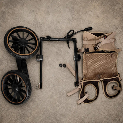 Adjustable Dog Cart for Hind Legs | Mobility Aid