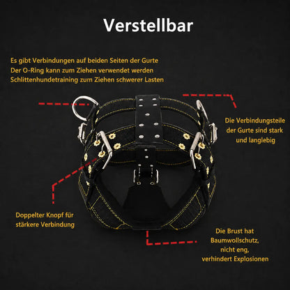 Dog harness for large dogs | Durable & fully adjustable