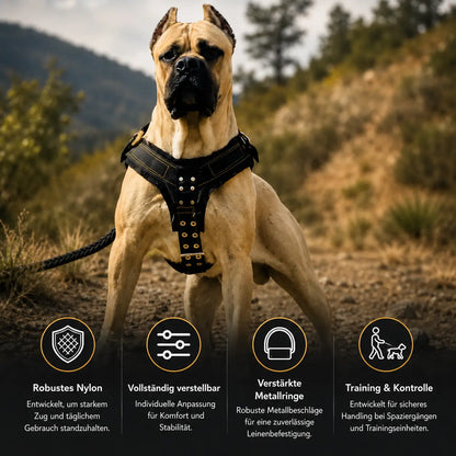 Dog harness for large dogs | Durable & fully adjustable