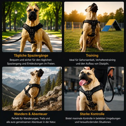 Dog harness for large dogs | Durable & fully adjustable