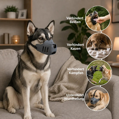 Adjustable Muzzle for Dog | Breathable & Safe for Training