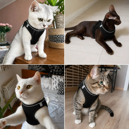 Reflective breathable cat harness | Comfortable & safe