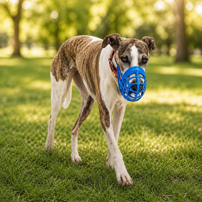 Muzzle for Dog | breathable, safe & comfortable for walks