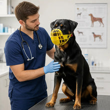 Muselière pour chien | respirante, sûre & confortable pour les promenades