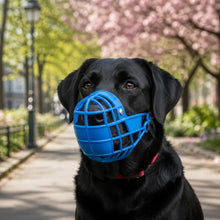 Muselière pour chien | respirante, sûre & confortable pour les promenades