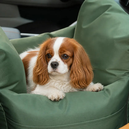 Luxury Dog Car Seat | Comfortable & Safe Travel Seat for Dogs