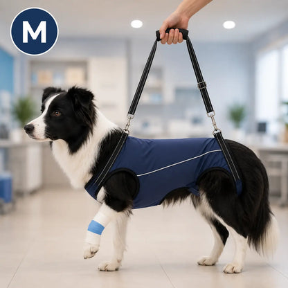 Dog lifting aid | Lifting strap for older & injured dogs