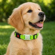 Dog collar with AirTag holder | Waterproof & safe for outdoors