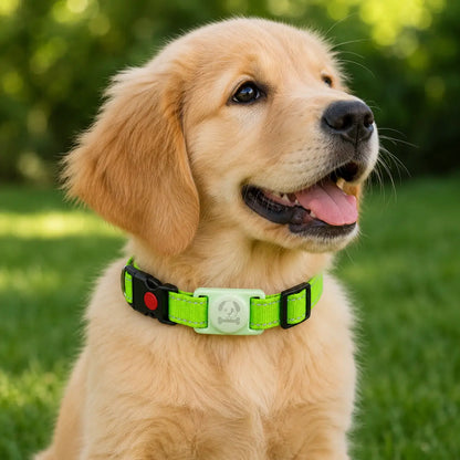 Collier pour chien avec support AirTag | Étanche & sûr pour l'extérieur