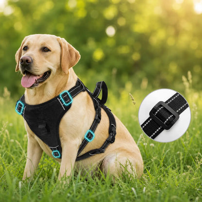 Escape-proof dog harness | Adjustable & padded safety harness