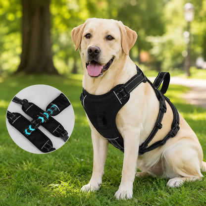 Escape-proof dog harness | Adjustable & padded safety harness