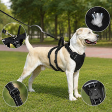 Harnais anti-évasion pour chien | Harnais de sécurité réglable & rembourré