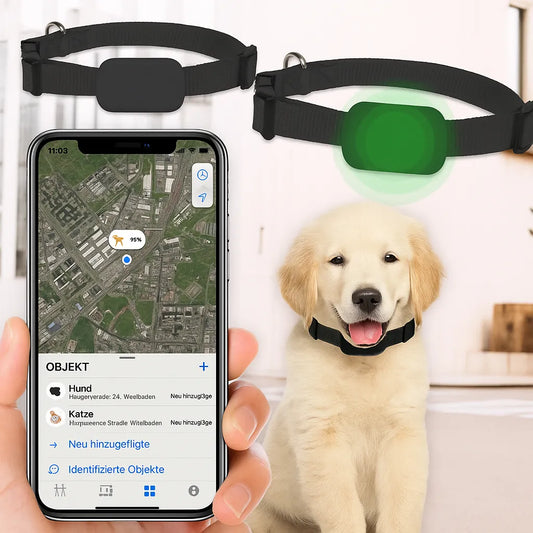 GPS-Tracker für Hunde & Katzen mit Echtzeit-Ortung