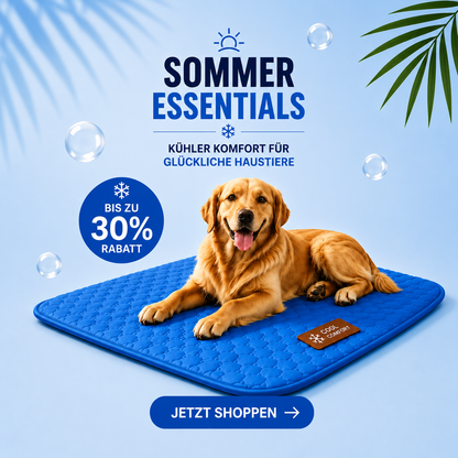 Chew Toy for Dogs – Waterproof Dog Toy for Chewing & Fetching