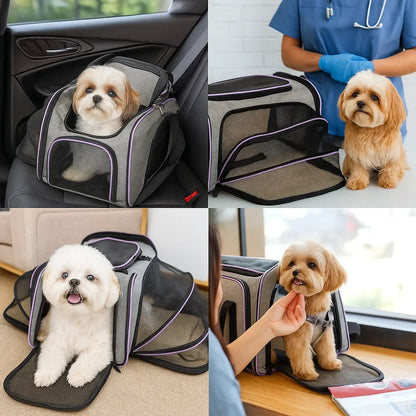 Hundetragetasche & Hundehaus | Faltbare & Atmungsaktive Reisetasche